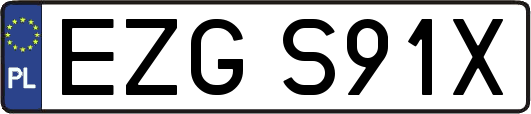 EZGS91X