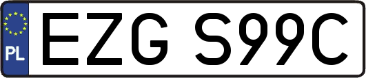 EZGS99C