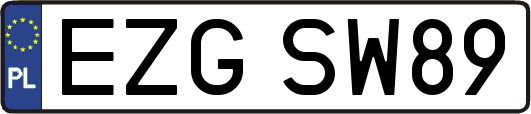 EZGSW89