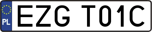 EZGT01C