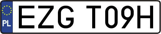 EZGT09H