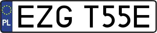 EZGT55E