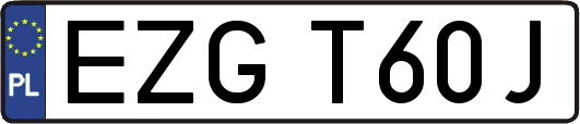 EZGT60J