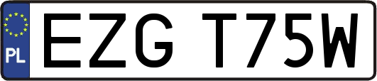EZGT75W