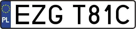 EZGT81C
