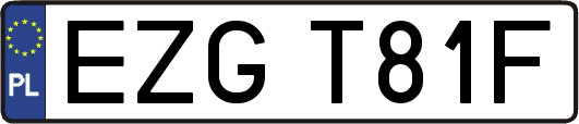 EZGT81F