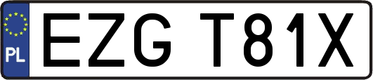 EZGT81X