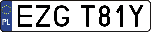 EZGT81Y