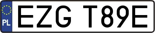 EZGT89E