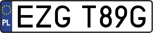 EZGT89G