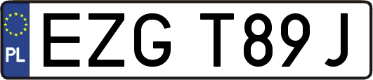 EZGT89J