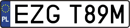EZGT89M