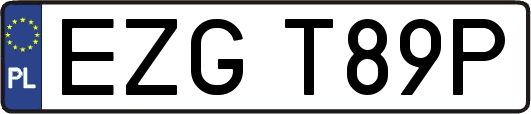EZGT89P