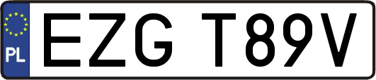 EZGT89V