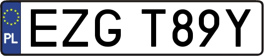 EZGT89Y
