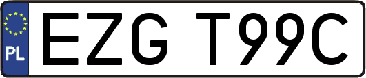 EZGT99C