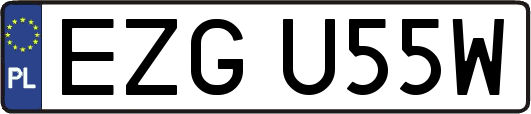 EZGU55W
