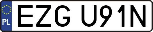 EZGU91N