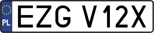 EZGV12X