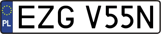 EZGV55N