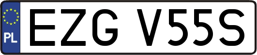 EZGV55S