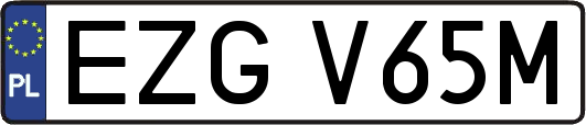 EZGV65M