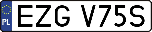 EZGV75S