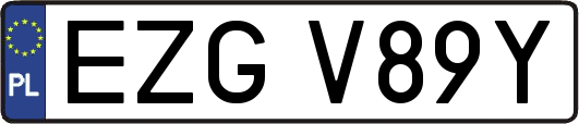 EZGV89Y