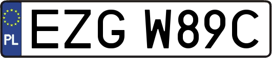 EZGW89C