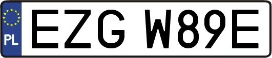 EZGW89E