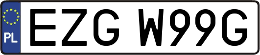 EZGW99G