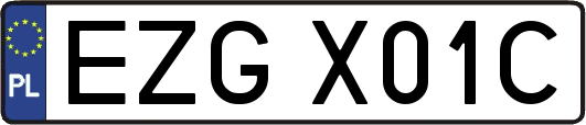 EZGX01C