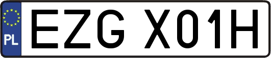 EZGX01H