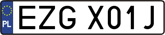 EZGX01J
