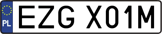 EZGX01M