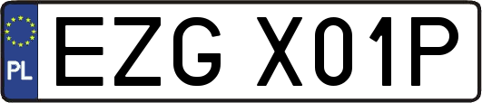 EZGX01P
