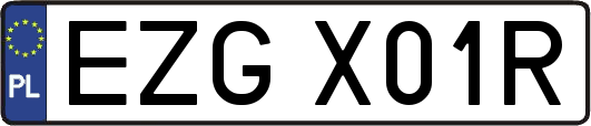 EZGX01R