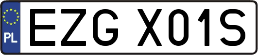 EZGX01S