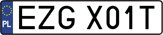 EZGX01T