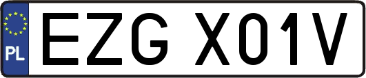 EZGX01V