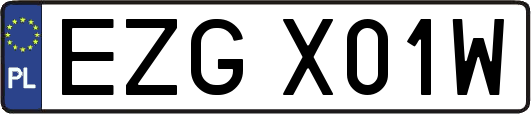 EZGX01W