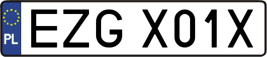 EZGX01X