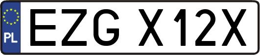 EZGX12X