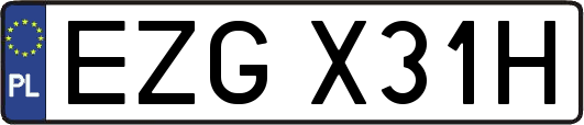 EZGX31H
