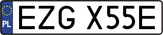 EZGX55E