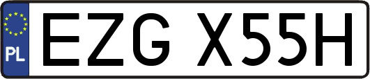 EZGX55H