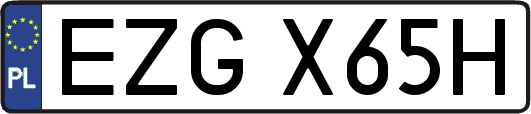 EZGX65H