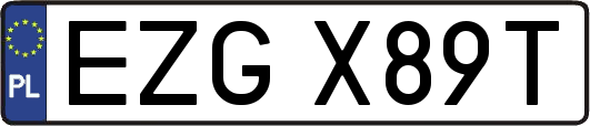 EZGX89T