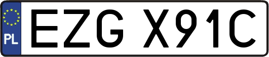 EZGX91C