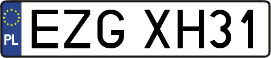 EZGXH31